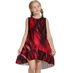 Followers,maroon,rose,roses Kids  Frill Swing Dress by nateshop