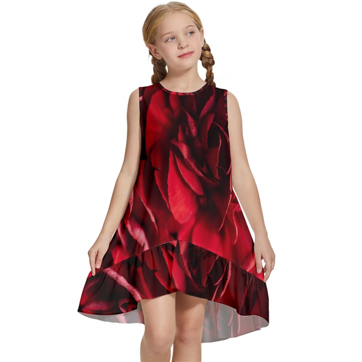 Followers,maroon,rose,roses Kids  Frill Swing Dress