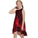 Followers,maroon,rose,roses Kids  Frill Swing Dress View2