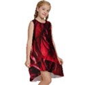 Followers,maroon,rose,roses Kids  Frill Swing Dress View3