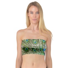 Peacock,army 1 Bandeau Top by nateshop