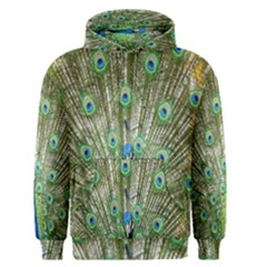 Peacock,army 1 Men s Core Hoodie by nateshop