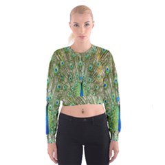 Peacock,army 1 Cropped Sweatshirt by nateshop