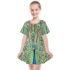 Peacock,army 1 Kids  Smock Dress by nateshop