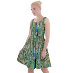 Peacock,army 1 Knee Length Skater Dress by nateshop