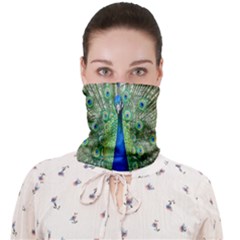 Peacock,army 1 Face Covering Bandana (adult) by nateshop