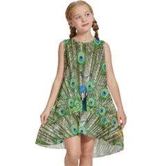 Peacock,army 1 Kids  Frill Swing Dress by nateshop