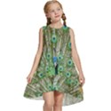 Peacock,army 1 Kids  Frill Swing Dress View1