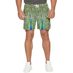 Peacock,army 1 Men s Runner Shorts