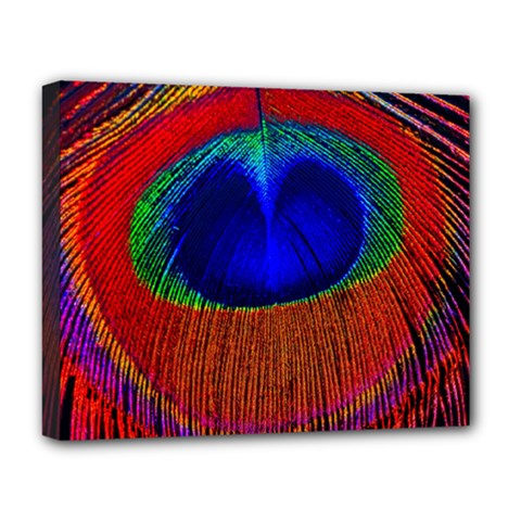 Peacock-feathers,blue 1 Deluxe Canvas 20  X 16  (stretched) by nateshop