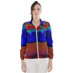 Peacock-feathers,blue 1 Women s Windbreaker