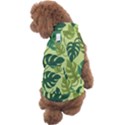 Seamless Pattern Of Monstera Leaves For The Tropical Plant Background Dog Sweater View2