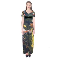 Koi Pond 3d Fish Short Sleeve Maxi Dress