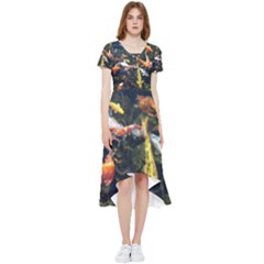 Koi Pond 3d Fish High Low Boho Dress by Grandong