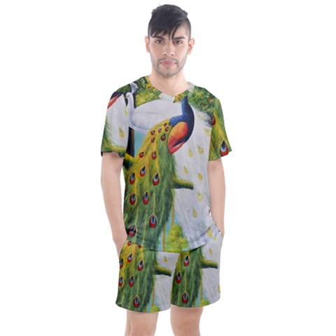 Peacock Art Men s Mesh T-shirt And Shorts Set by Grandong