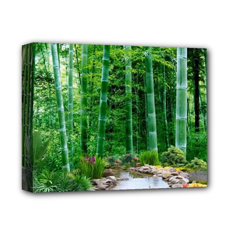 Bamboo Forest Squid Family Deluxe Canvas 14  X 11  (stretched)