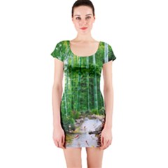 Bamboo Forest Squid Family Short Sleeve Bodycon Dress by Grandong