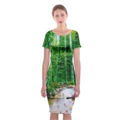 Bamboo Forest Squid Family Classic Short Sleeve Midi Dress by Grandong