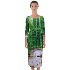 Bamboo Forest Squid Family Quarter Sleeve Midi Bodycon Dress