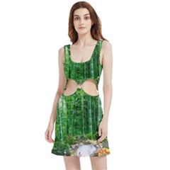 Bamboo Forest Squid Family Velour Cutout Dress by Grandong