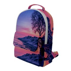 Tree Nature Plant Outdoors Ice Toronto Scenery Snow Flap Pocket Backpack (large) by uniart180623