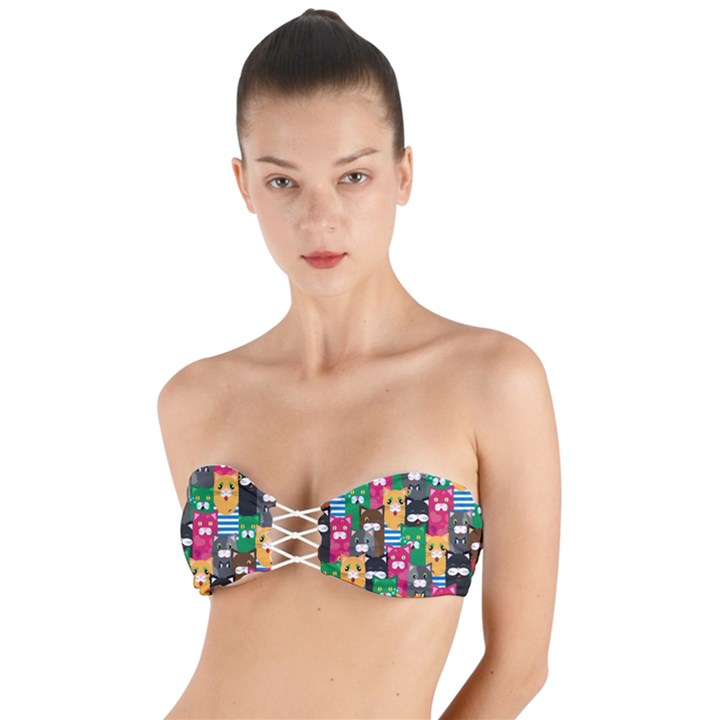 Cats Funny Colorful Pattern Texture Twist Bandeau Bikini Top