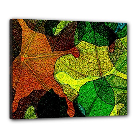 Colorful Autumn Leaves Texture Abstract Pattern Canvas 20  X 16  (stretched) by Grandong