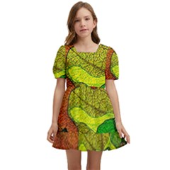 Colorful Autumn Leaves Texture Abstract Pattern Kids  Short Sleeve Dolly Dress by Grandong