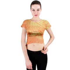 Abstract Texture Of Colorful Bright Pattern Transparent Leaves Orange And Yellow Color Crew Neck Crop Top by Grandong