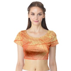 Abstract Texture Of Colorful Bright Pattern Transparent Leaves Orange And Yellow Color Short Sleeve Crop Top by Grandong