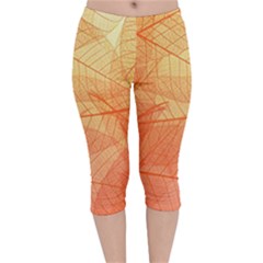 Abstract Texture Of Colorful Bright Pattern Transparent Leaves Orange And Yellow Color Velvet Capri Leggings  by Grandong