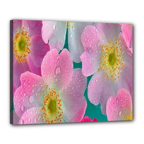 Pink Neon Flowers, Flower Canvas 20  X 16  (stretched) by nateshop