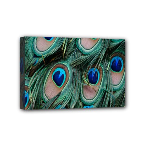 Peacock-feathers,blue2 Mini Canvas 6  X 4  (stretched) by nateshop