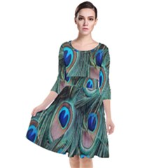 Peacock-feathers,blue2 Quarter Sleeve Waist Band Dress by nateshop