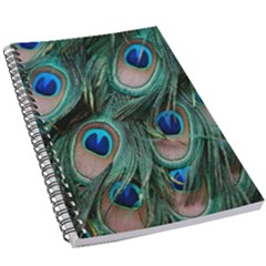 Peacock-feathers,blue2 5 5  X 8 5  Notebook