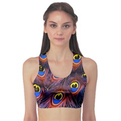 Peacock-feathers,blue,yellow Fitness Sports Bra by nateshop