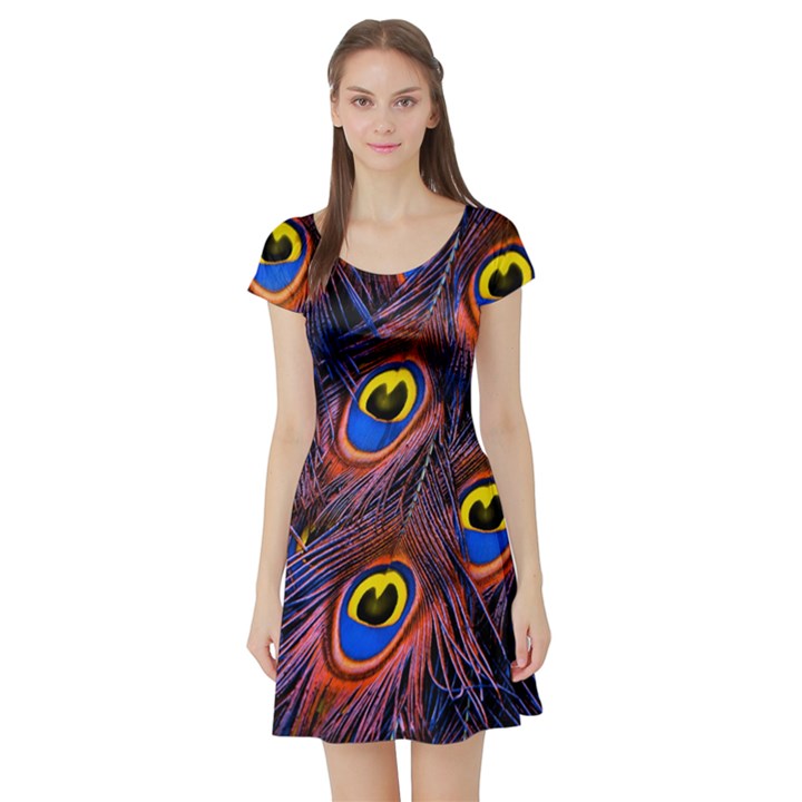 Peacock-feathers,blue,yellow Short Sleeve Skater Dress