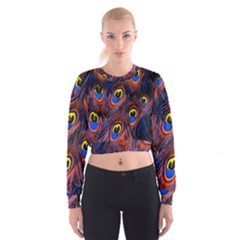 Peacock-feathers,blue,yellow Cropped Sweatshirt