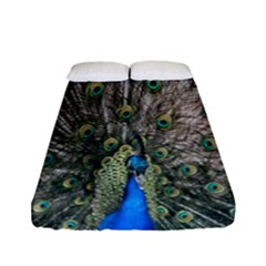 Peacock-feathers1 Fitted Sheet (full/ Double Size) by nateshop