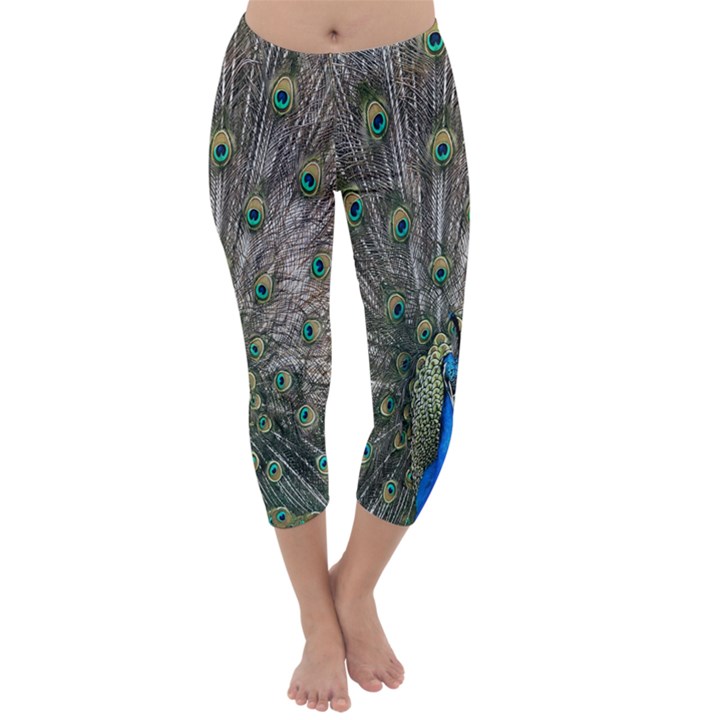 Peacock-feathers1 Capri Winter Leggings 