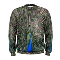 Peacock-feathers1 Men s Sweatshirt by nateshop