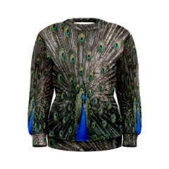 Peacock-feathers1 Women s Sweatshirt by nateshop