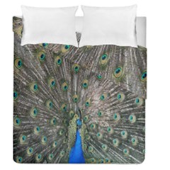 Peacock-feathers1 Duvet Cover Double Side (queen Size) by nateshop