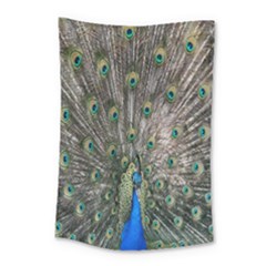 Peacock-feathers1 Small Tapestry