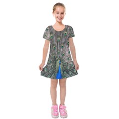 Peacock-feathers1 Kids  Short Sleeve Velvet Dress by nateshop