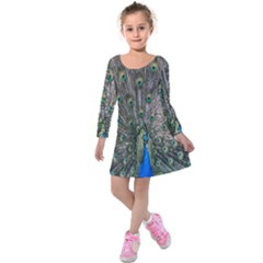 Peacock-feathers1 Kids  Long Sleeve Velvet Dress by nateshop