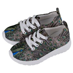 Peacock-feathers1 Kids  Lightweight Sports Shoes by nateshop