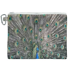 Peacock-feathers1 Canvas Cosmetic Bag (xxl) by nateshop