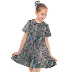 Peacock-feathers1 Kids  Short Sleeve Shirt Dress by nateshop