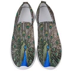 Peacock-feathers1 Men s Slip On Sneakers by nateshop